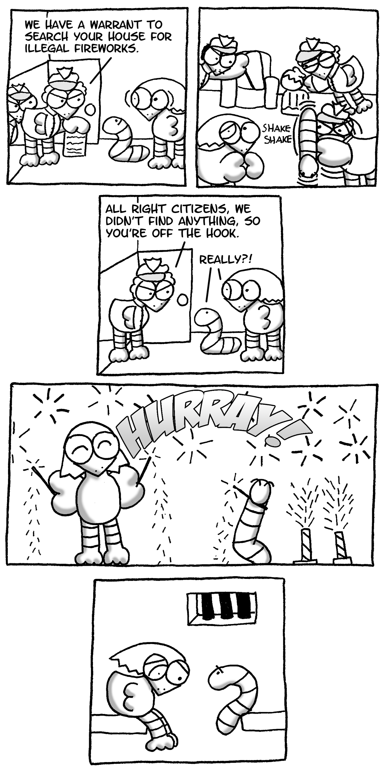 Illegal Fireworks